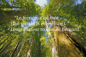 Louis Pasteur, breast cancer, terrain, quote