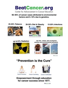 beatcancer.org diet breast cancer prevention