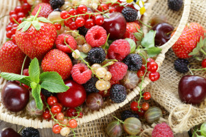 berries phytonutrients