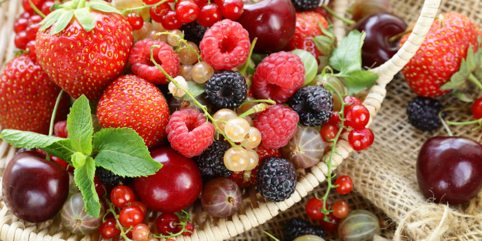 berries phytonutrients