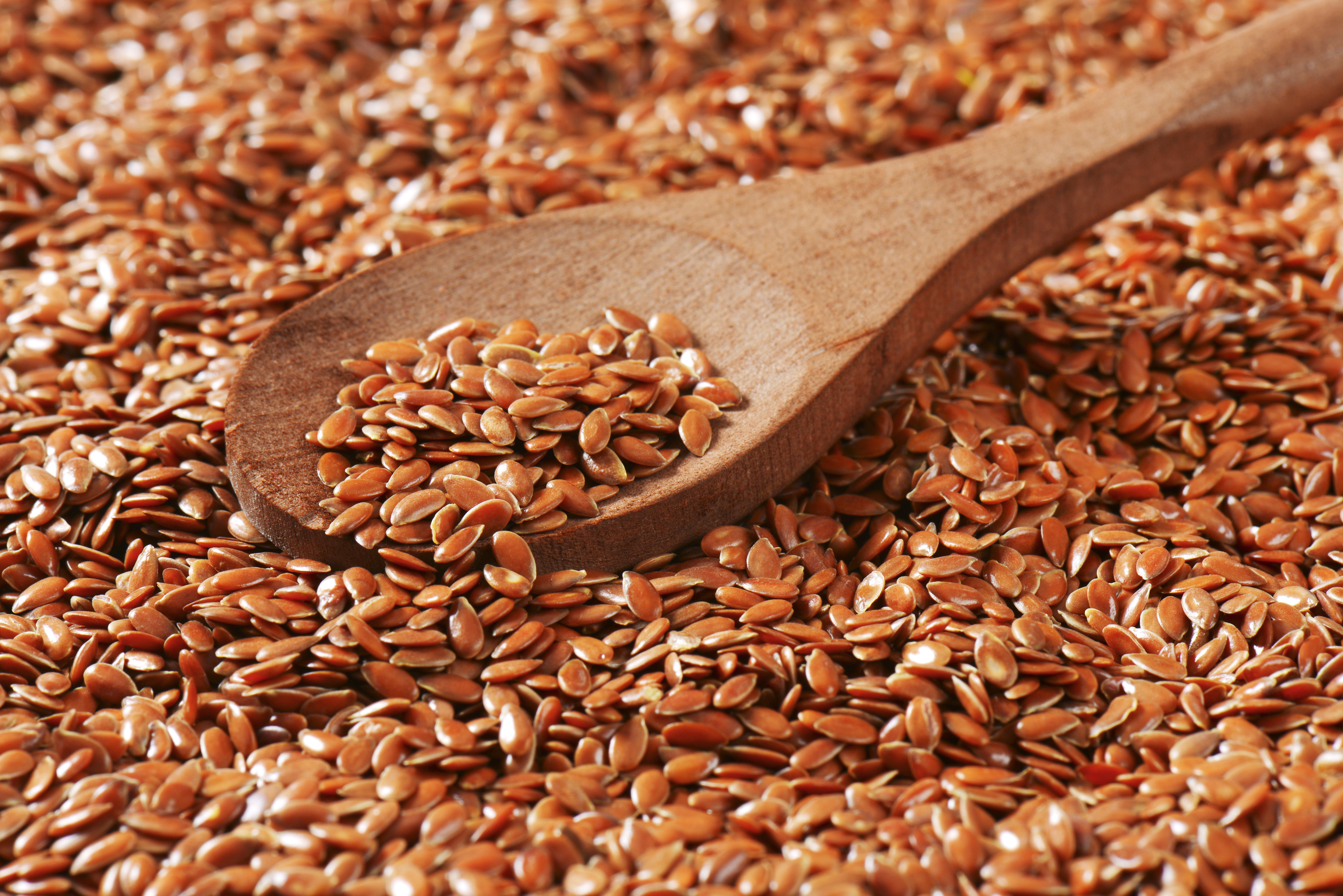 6 Reasons Why Flaxseeds are Healing Powerhouses - Breast Cancer Conqueror