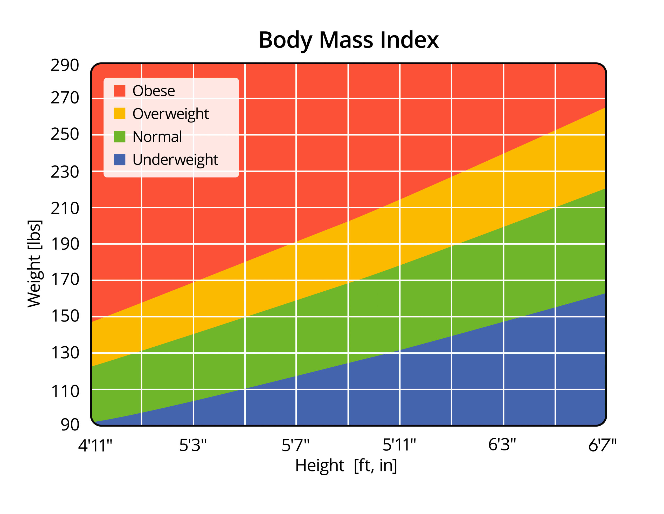 How to measure your body mass index