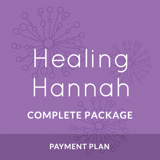 3 - Healing Hannah Payment Plan