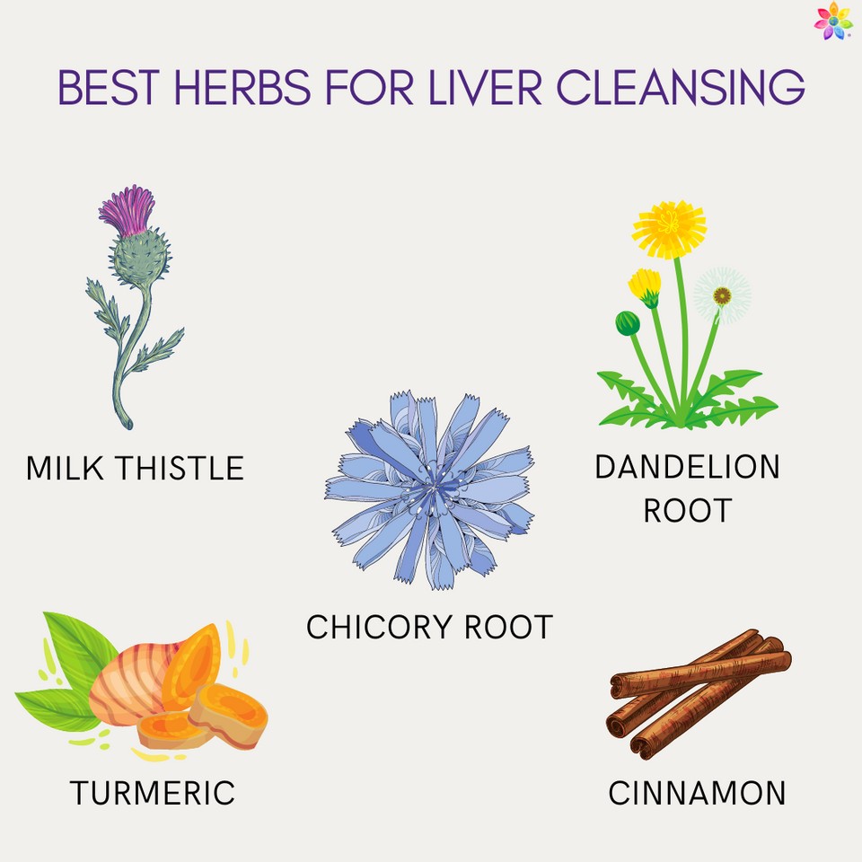 Herbs fro Liver Cleanse