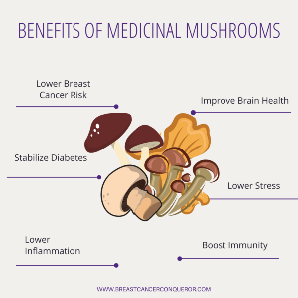 How Viruses, Bacteria, Parasites And Fungal Overgrowth Can Lead To 