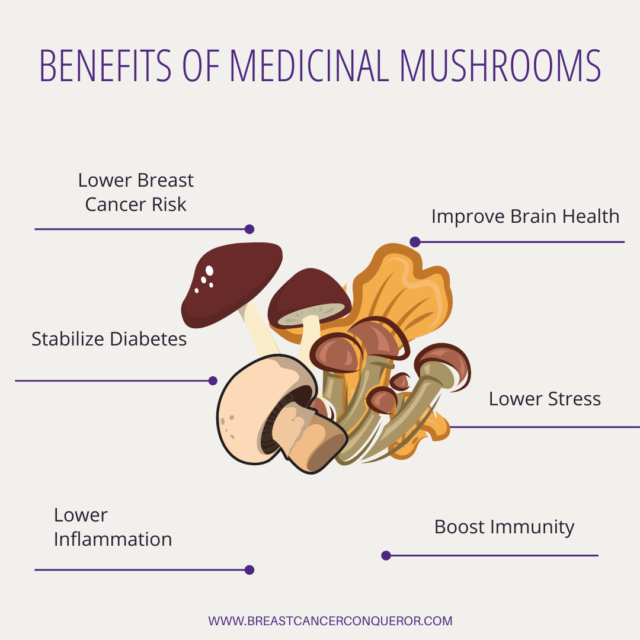 How Viruses, Bacteria, Parasites and Fungal Overgrowth Can Lead to ...