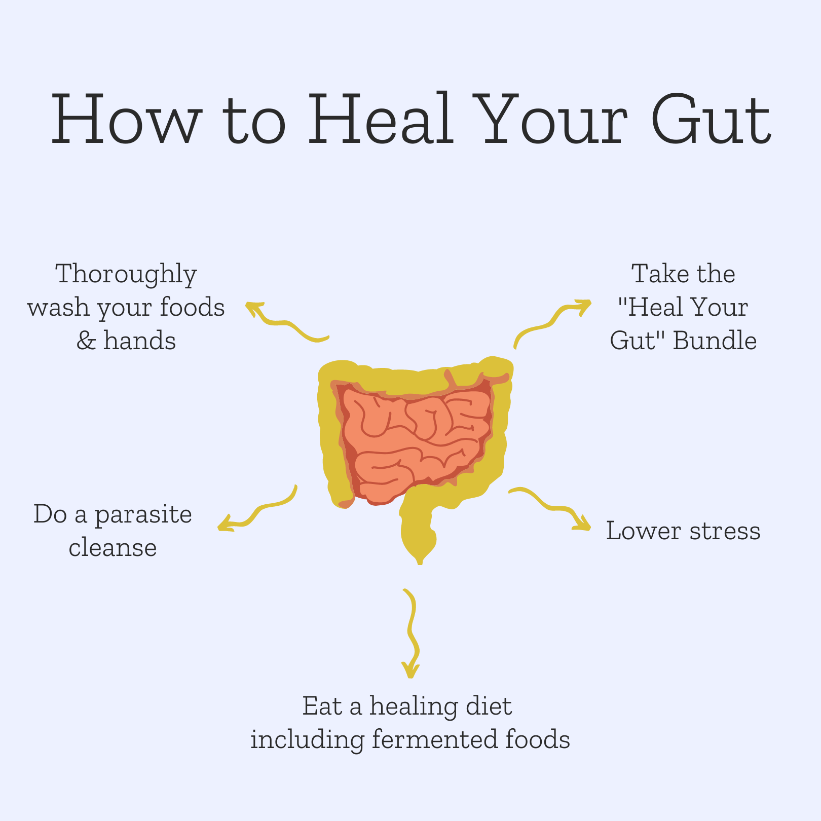 How to Heal Your Gut