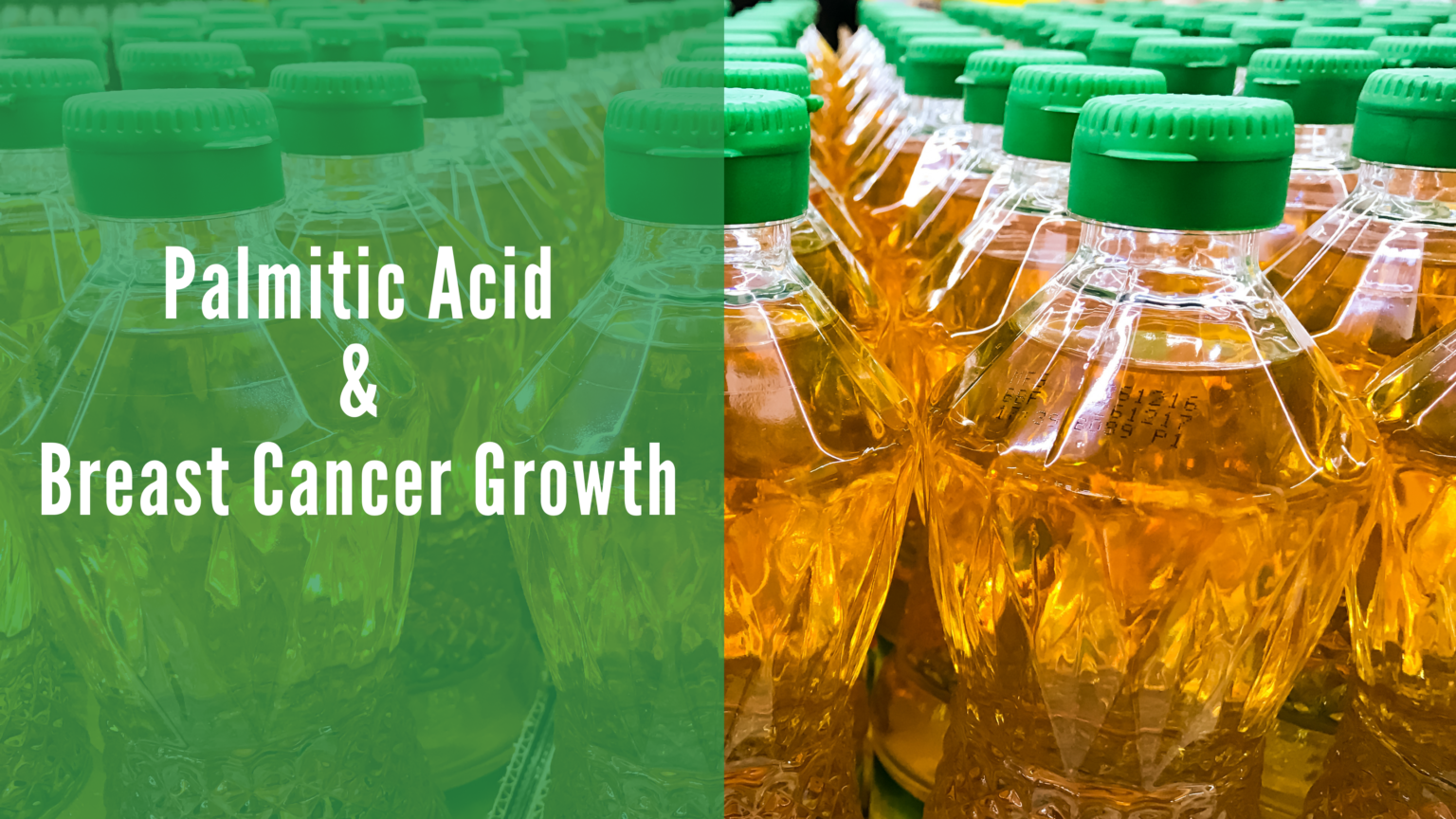 What does Palmitic Acid have to do with Breast Cancer? Breast Cancer