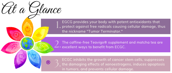 ECGC benefits