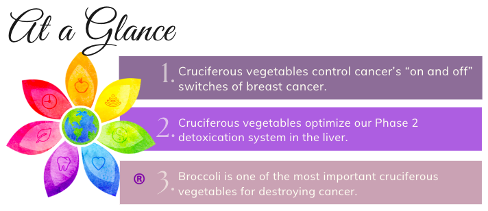 Cruciferous vegetables summary
