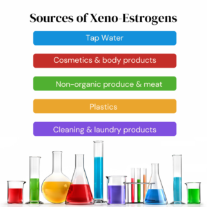 xenoestrogens can be found in chemicals such as tap water and cleaning products