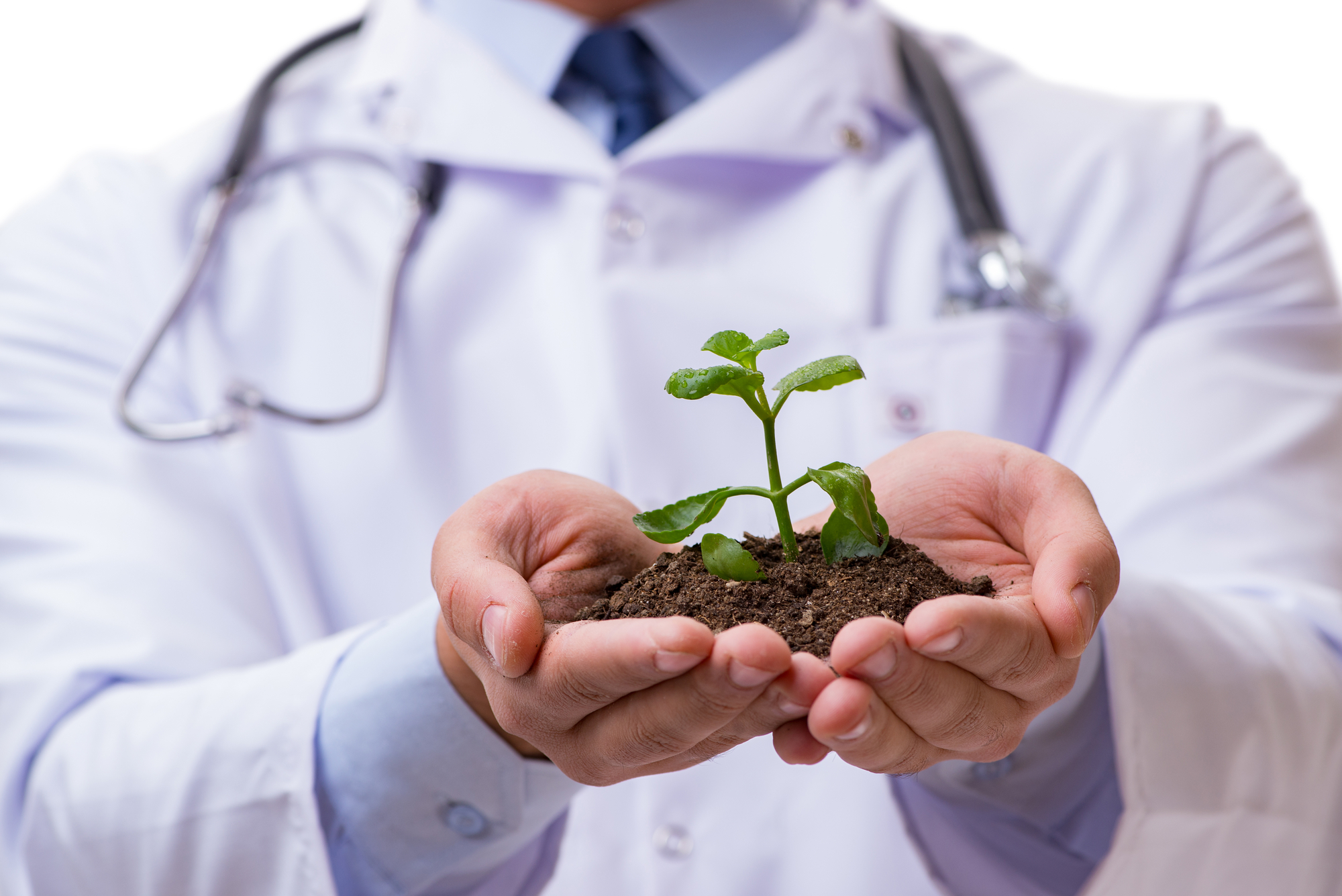 Scientist with green seedling in glass isolated on white