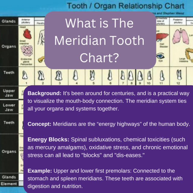 The Meridian Tooth Chart What You Need To Know Breast Cancer Conqueror