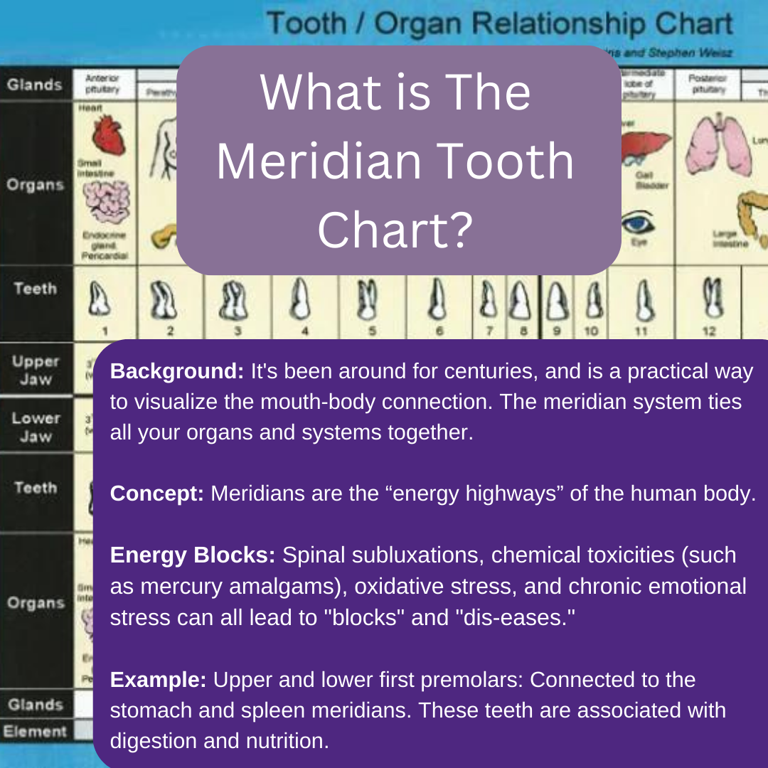 what is the meridian tooth chart