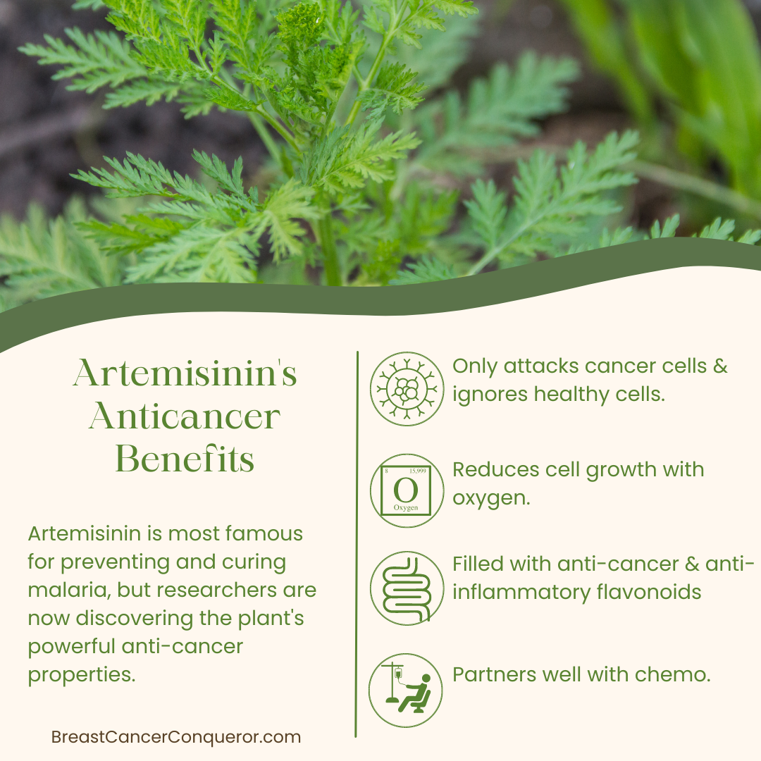 artemisinin anticancer benefits