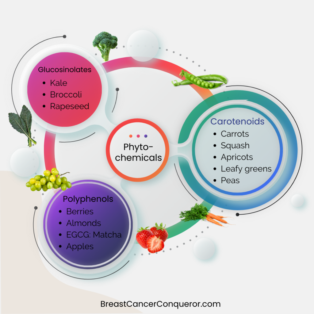 phyto-chemicals: microbiome and breast cancer foods to eat