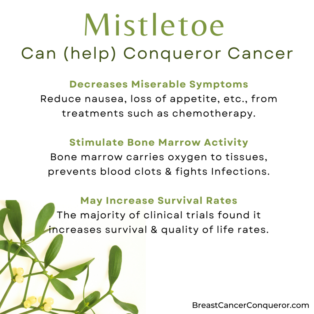 how mistletoe can help with breast cancer