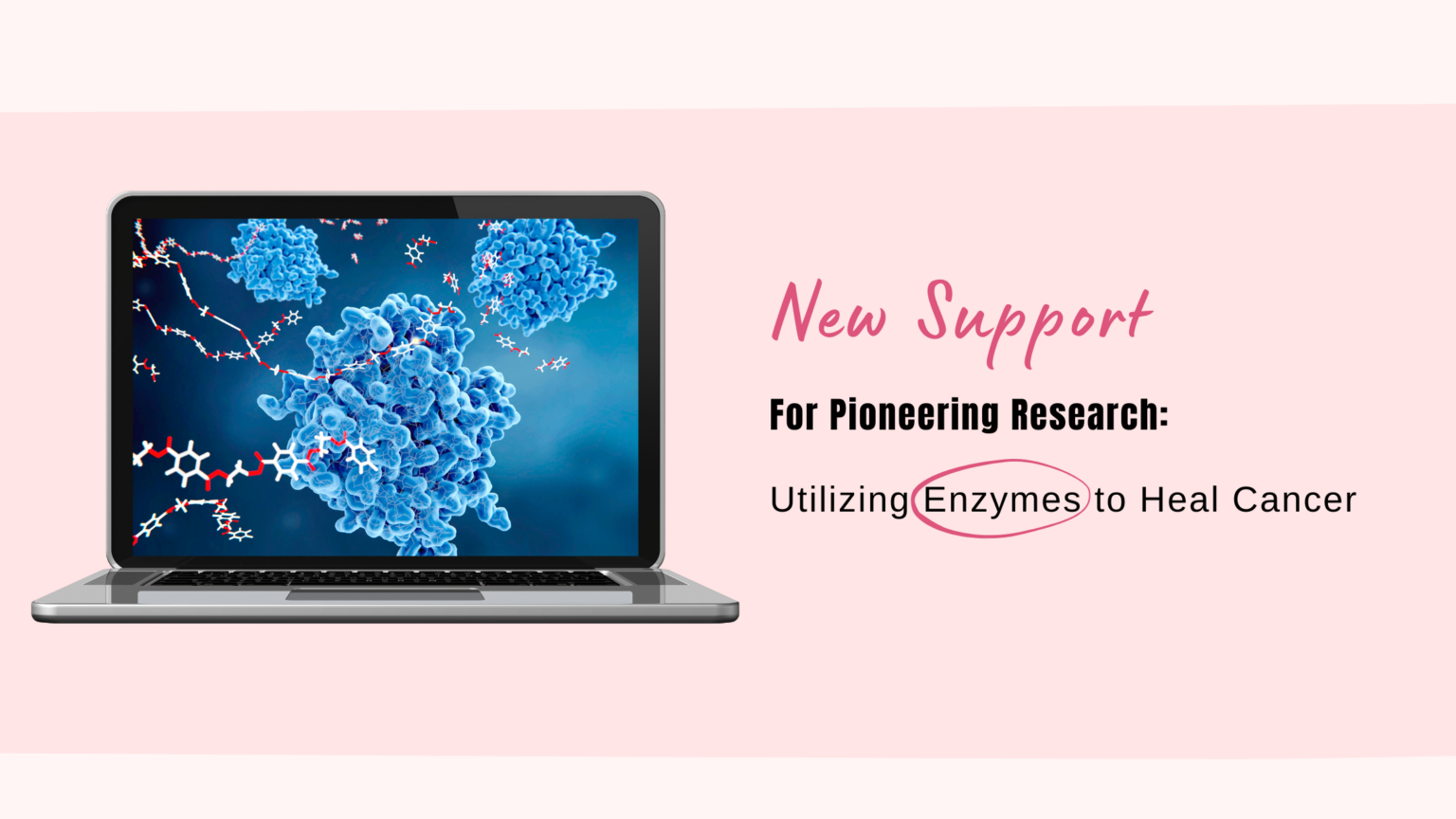 Pioneering Research: Utilizing Pancreas Enzymes to Heal Breast Cancer ...