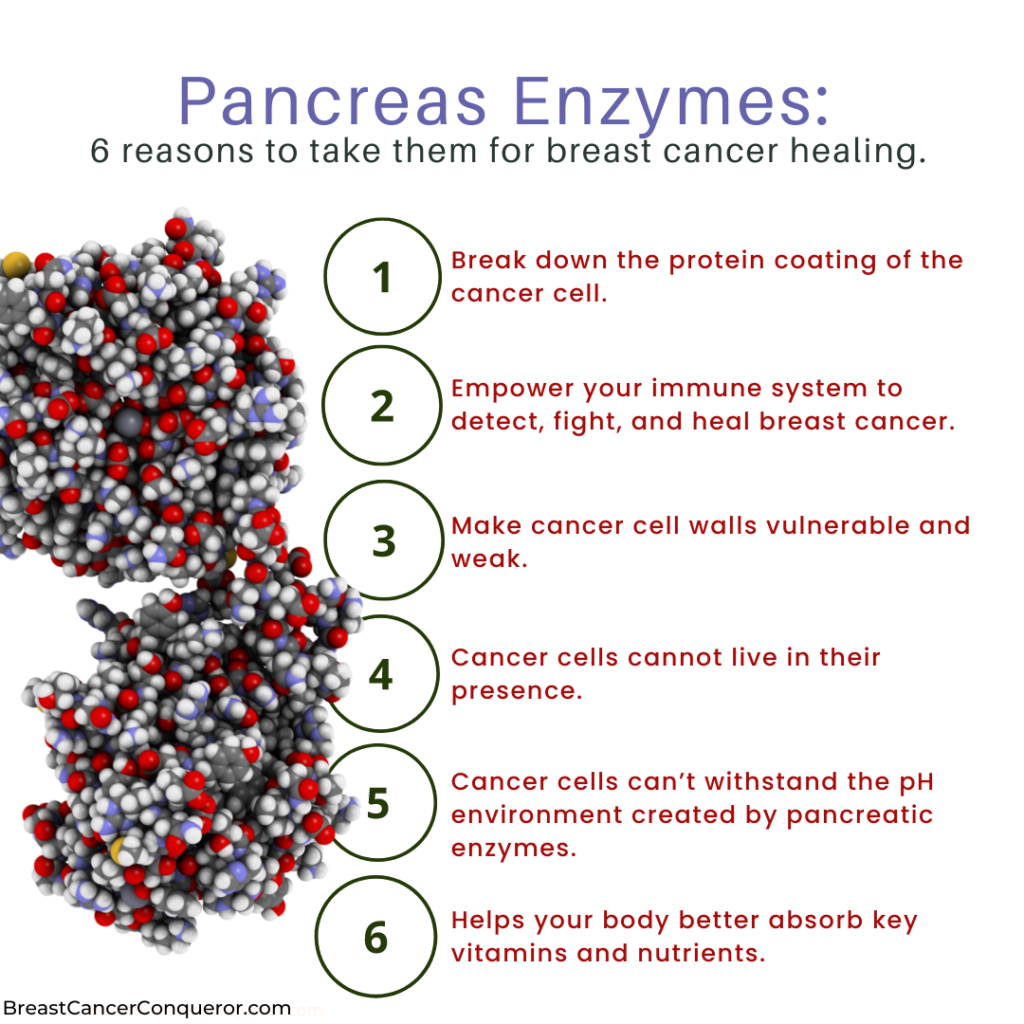 Pancreas enzymes benefits