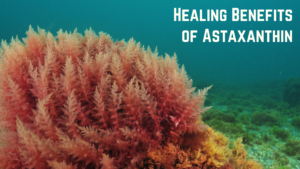 healing benefits of astaxanthin