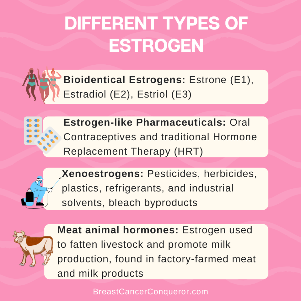 different types of estrogen including Metalloestrogens