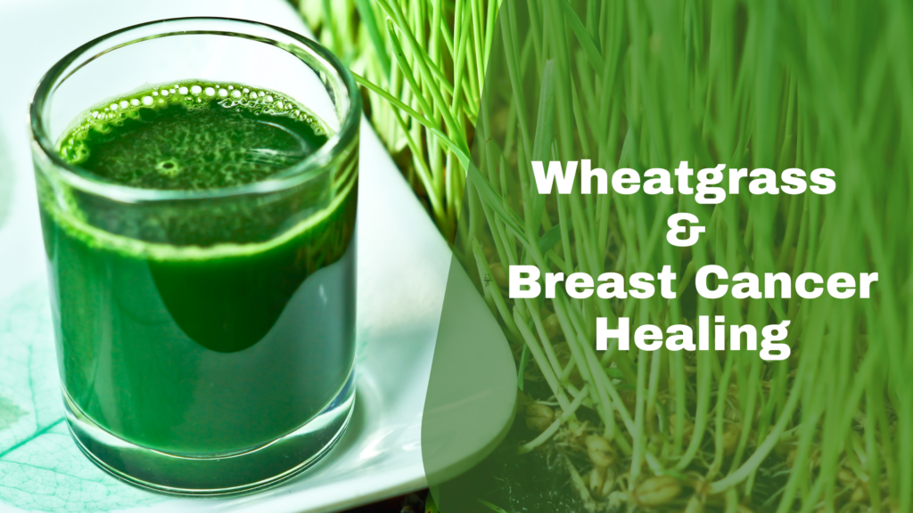 wheatgrass benefits