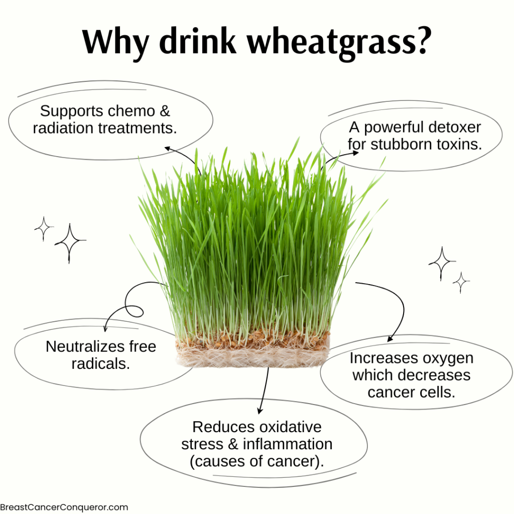 the benefits of wheatgrass