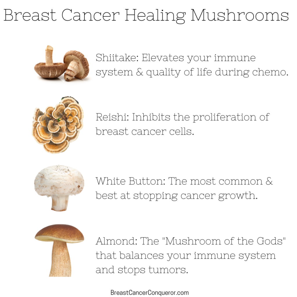 mushrooms and breast cancer