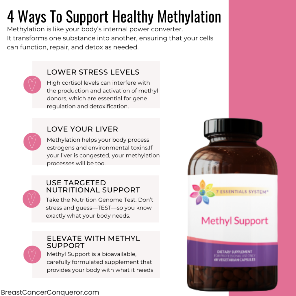4 Ways To Support Healthy Methylation