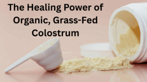 colostrum header