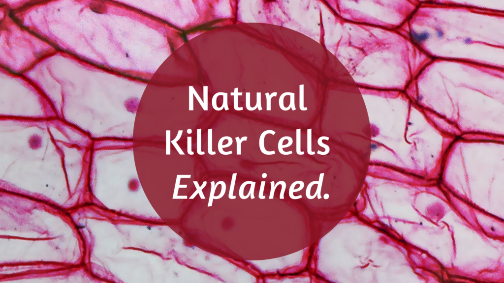 Natural Killer Cells Explained: Your Body’s Secret Cancer Warriors