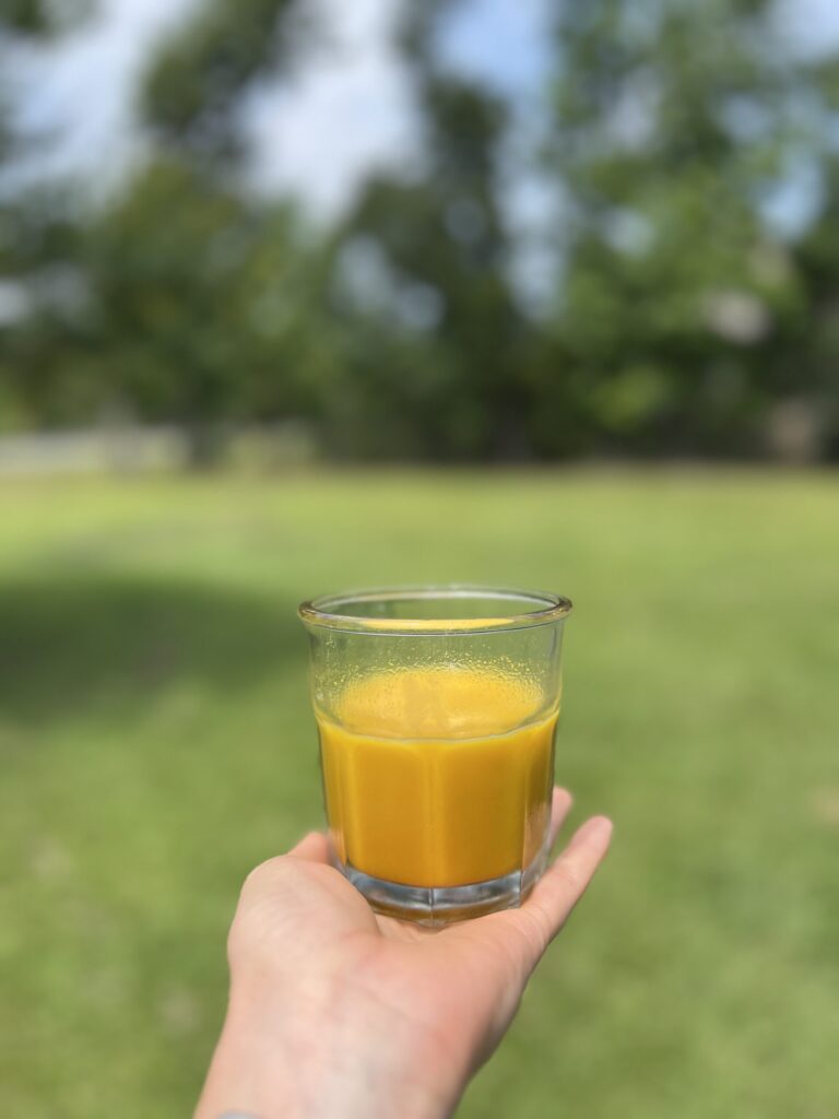 Immune Boosting Health Shots