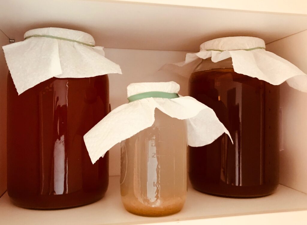 Kombucha Brewing Made Easy