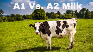 The Great Milk Debate – A1 Vs. A2 Milk