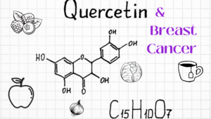 Quercetin and Breast Cancer