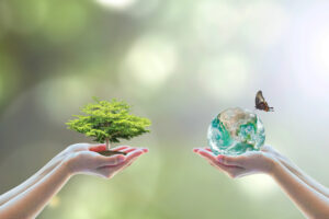 5 Ways the Earth Can Support Your Health