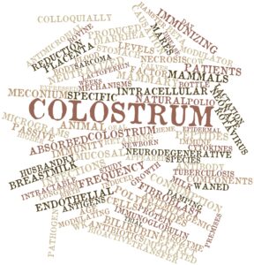 The Benefits of Organic, Grass Fed Colostrum