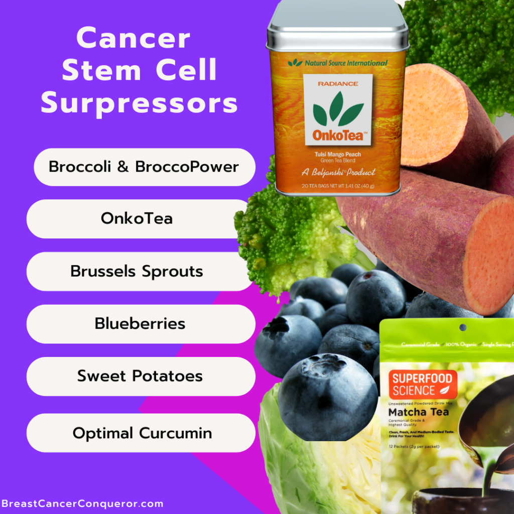 breast cancer stem cell surpressors