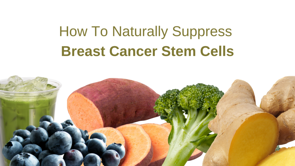 How To Naturally Suppress Breast Cancer Stem Cells