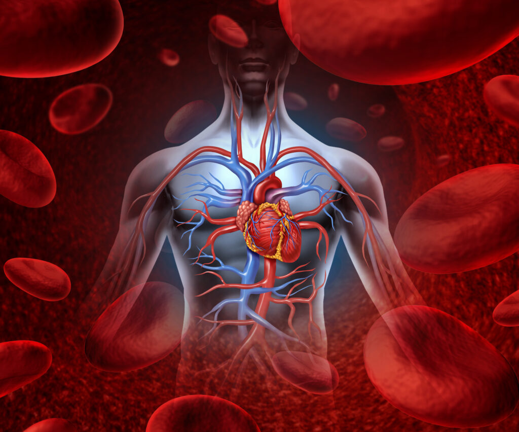 How is Your Heart Health Connected to Your Breast Health?