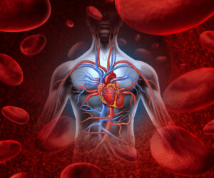 How is Your Heart Health Connected to Your Breast Health?