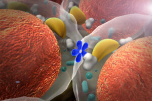 Can Lowering Your Protein Intake Improve Your Breast Health?