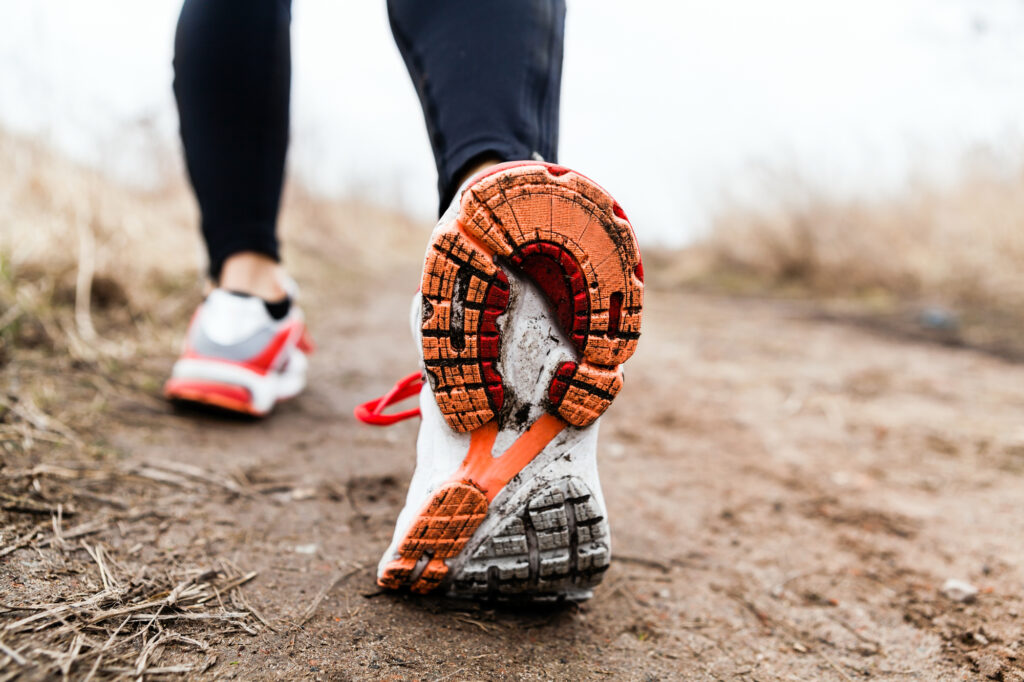 Can Exercise Influence Your Gut Health?
