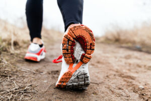 Can Exercise Influence Your Gut Health?