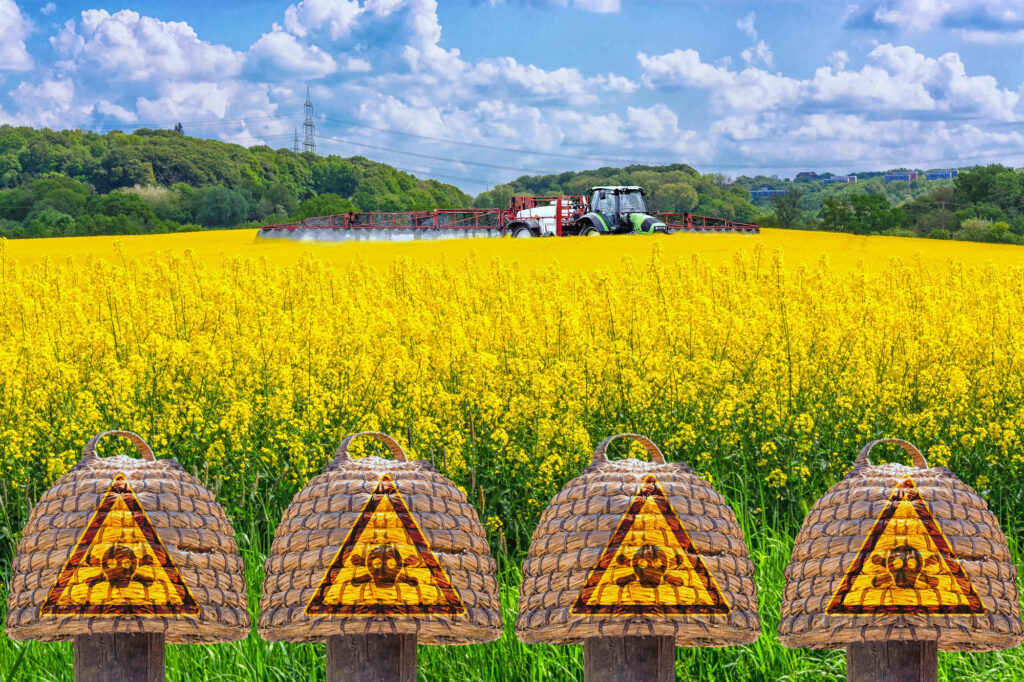 Detox Glyphosate from Your Life with the Detox Project