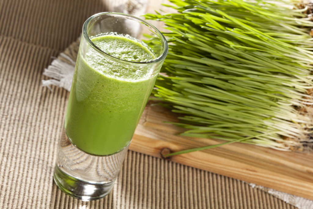 Wheatgrass: A Superfood to Help You Thrive!
