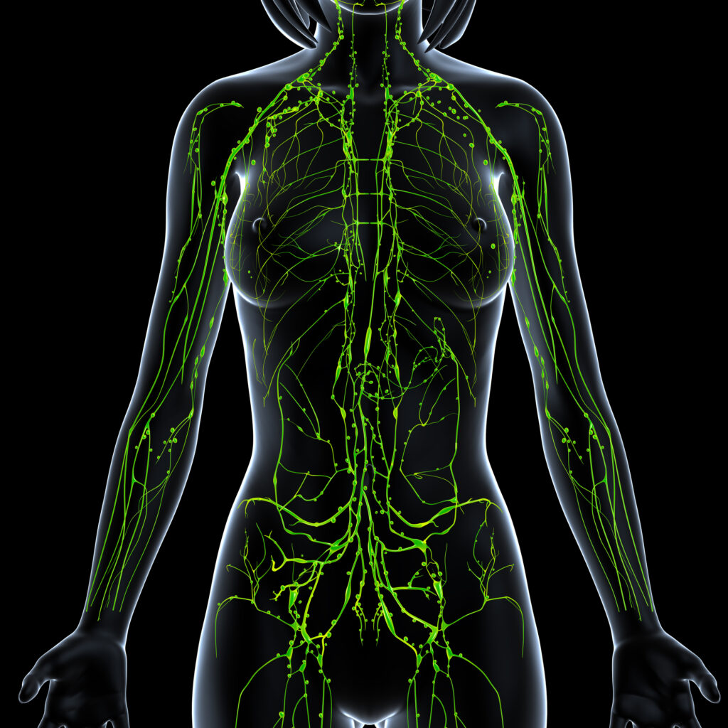Easy Ways to Keep Your Lymphatic System Moving