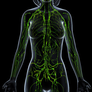 Easy Ways to Keep Your Lymphatic System Moving