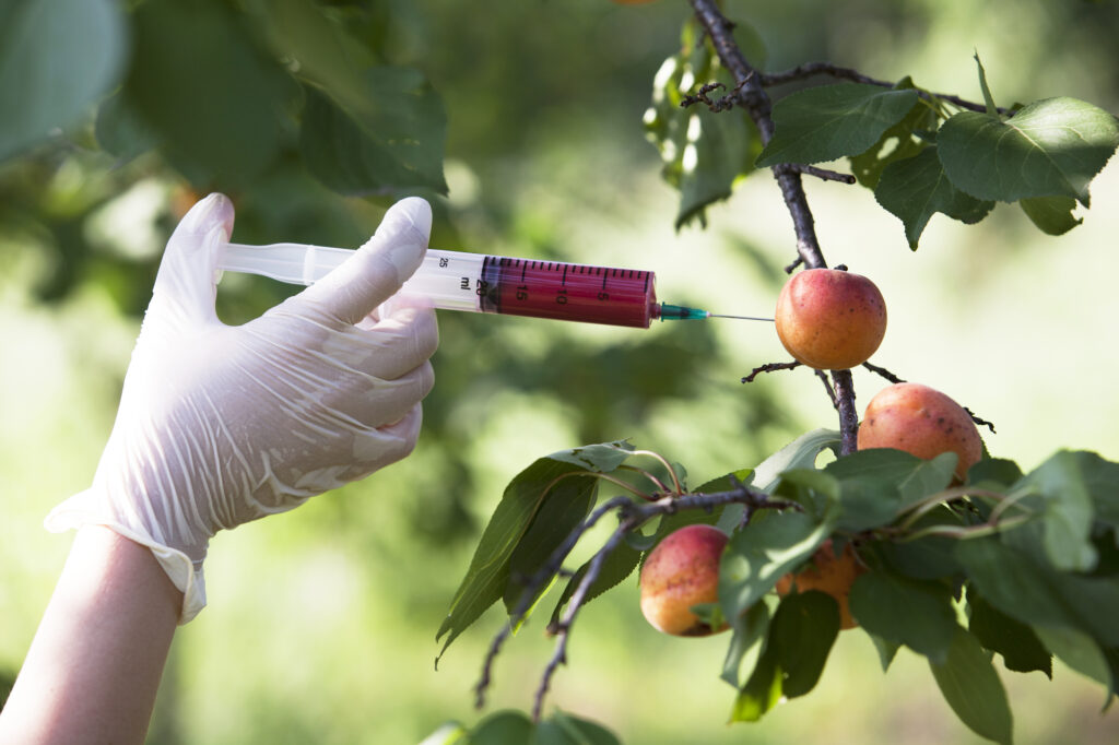 GMOs and Glyphosate Part 1: Could GMOs Be Linked to Breast Cancer?