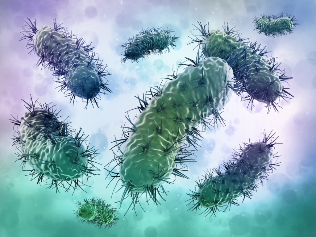 Do You Have Healthy Bacteria in YOUR Breasts?